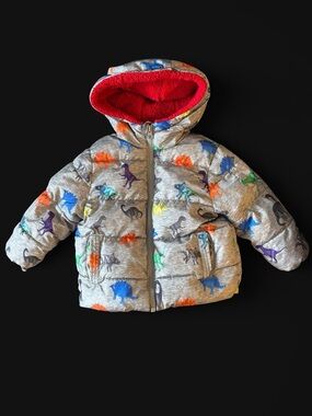 Swiss Tech Winter Coat